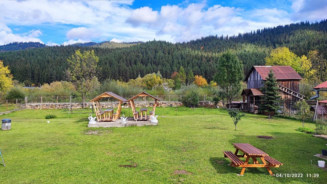 Dariamaf Apartamento Câmpulung Moldovenesc Exterior foto